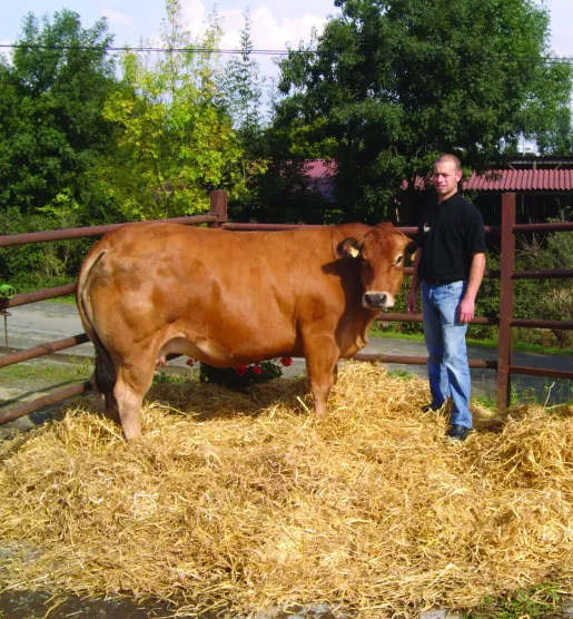 artisan boucher à Sainte-Cécile en Vendée 85
